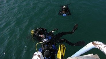 Assistant  Instructor