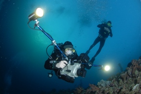 Underwater Videographer