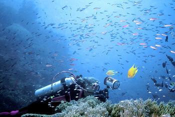 Advanced Scuba Diver